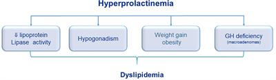 The interplay between prolactin and cardiovascular disease